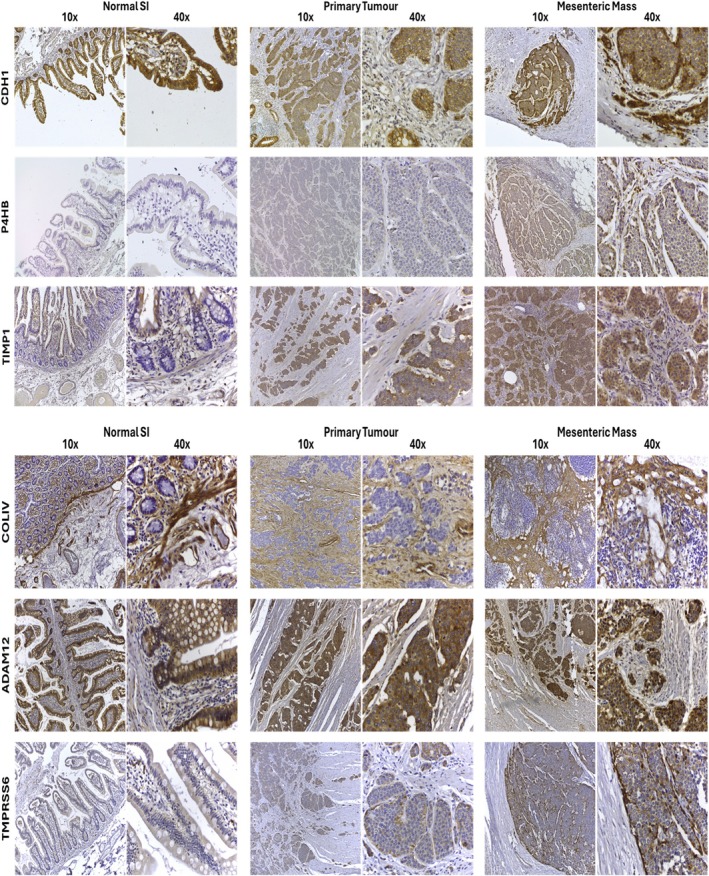 FIGURE 6
