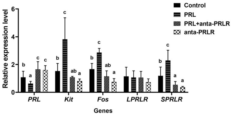 Figure 5