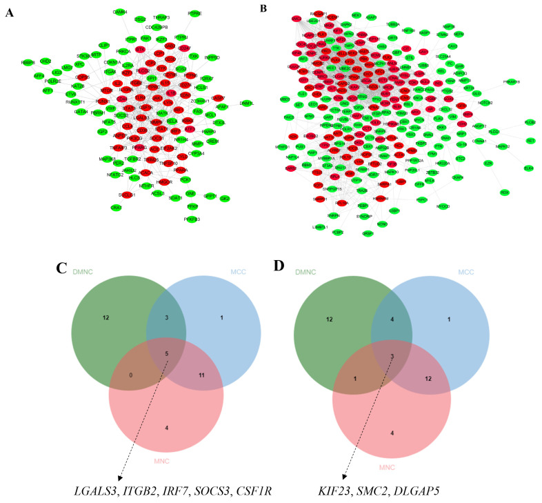 Figure 7