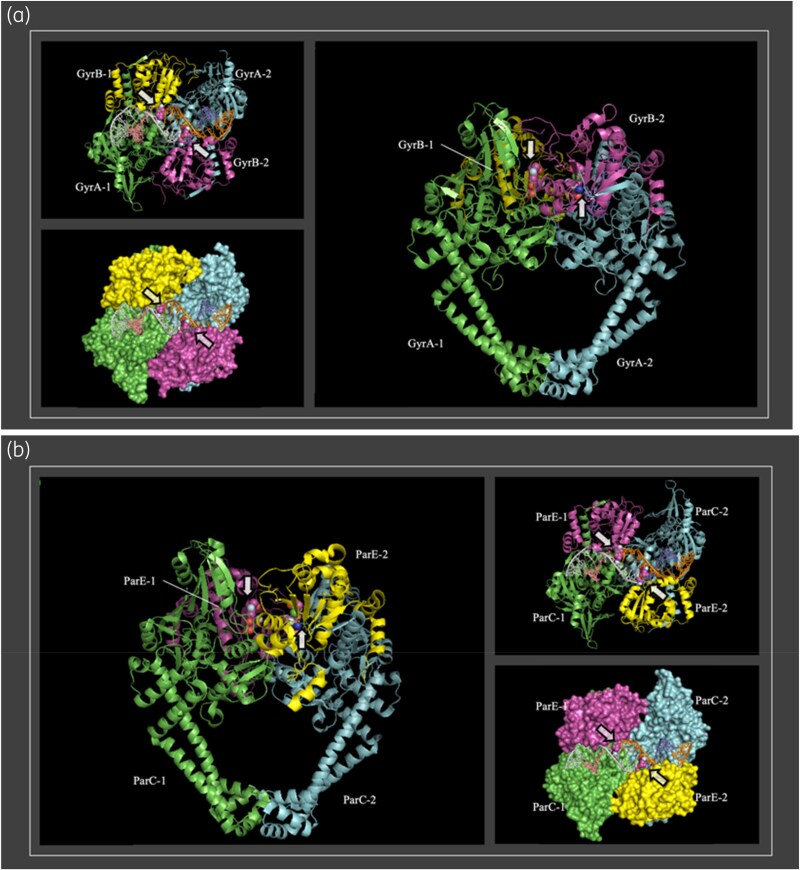 Figure 4