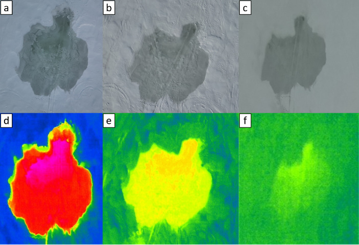 Figure 17