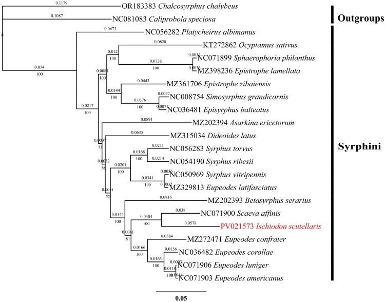Figure 3