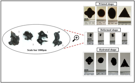 Figure 12