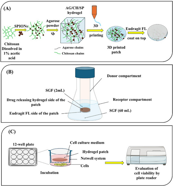 Figure 13