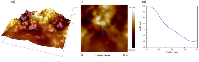 Figure 11