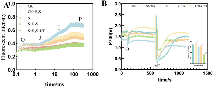 Figure 10