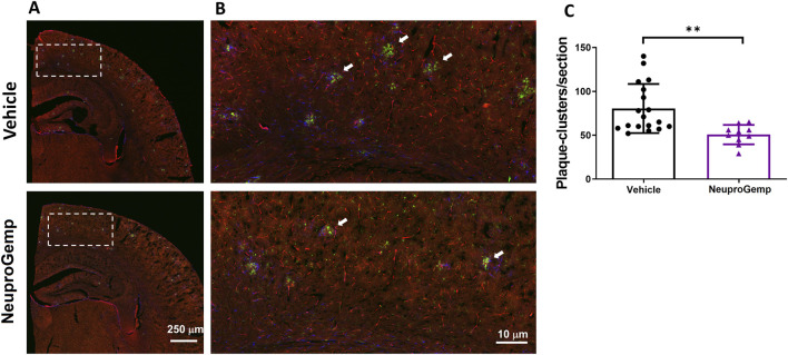FIGURE 3