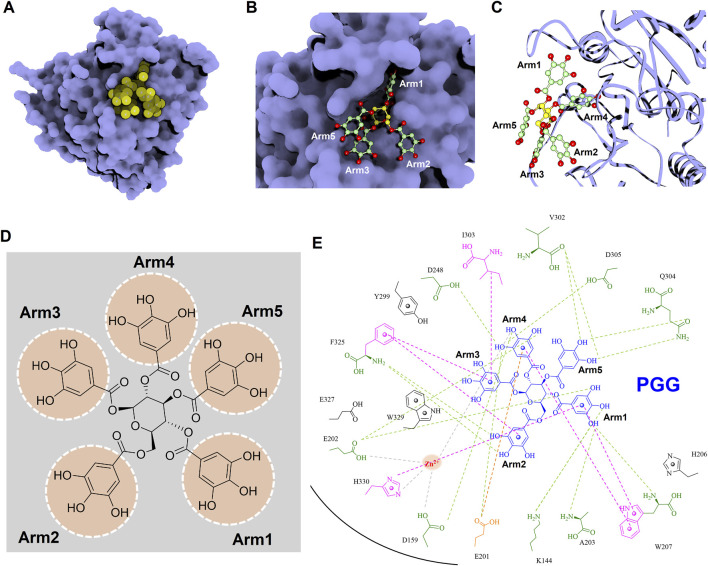 FIGURE 11