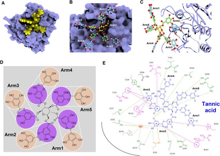 FIGURE 12