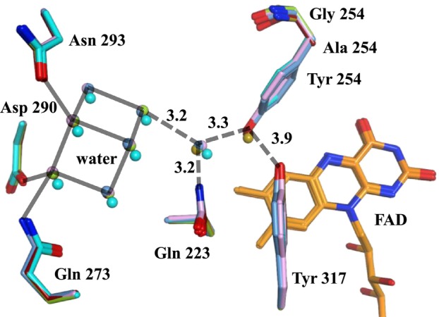 Fig. 7