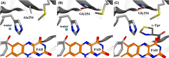 Fig. 6