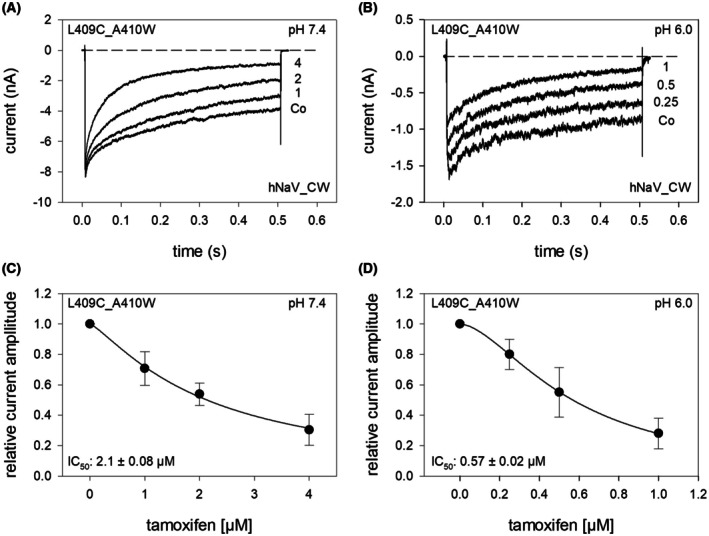 Fig. 7