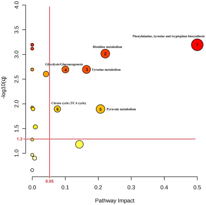 FIGURE 3