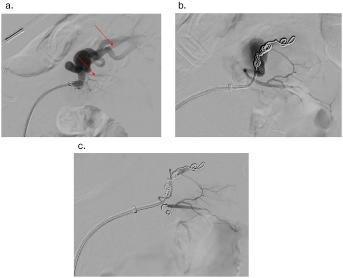 Figure 1