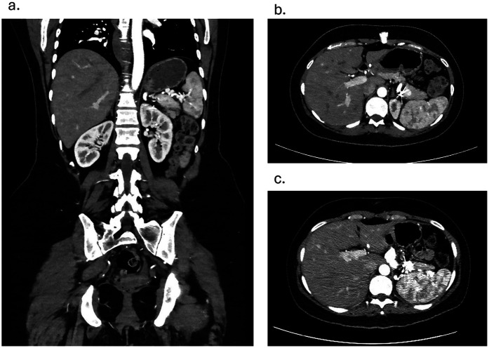 Figure 3