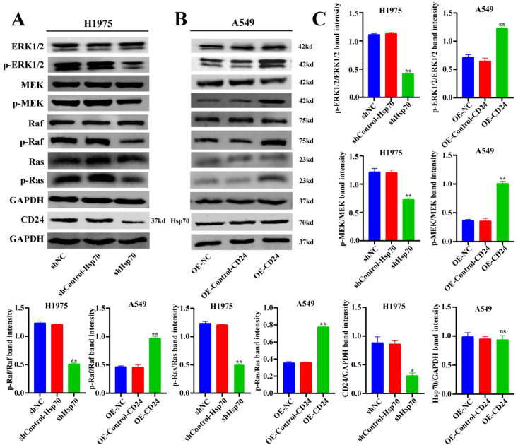 Figure 6