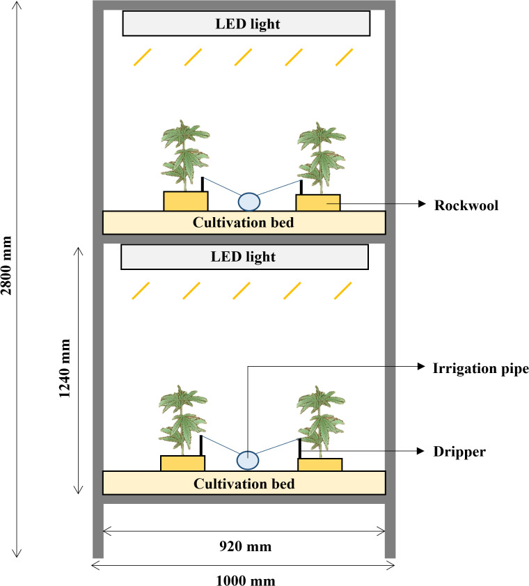 Figure 1