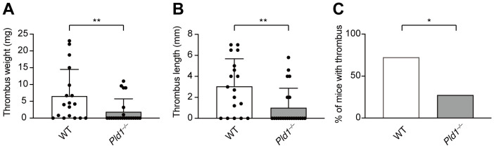 Figure 6