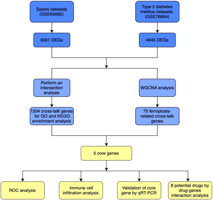 FIGURE 1