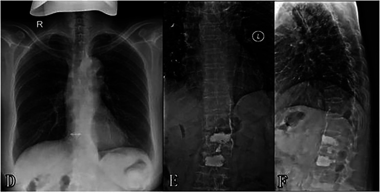 Figure 2