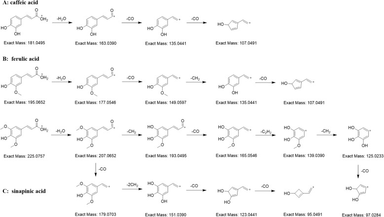 Figure 4