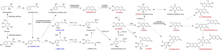 Figure 5