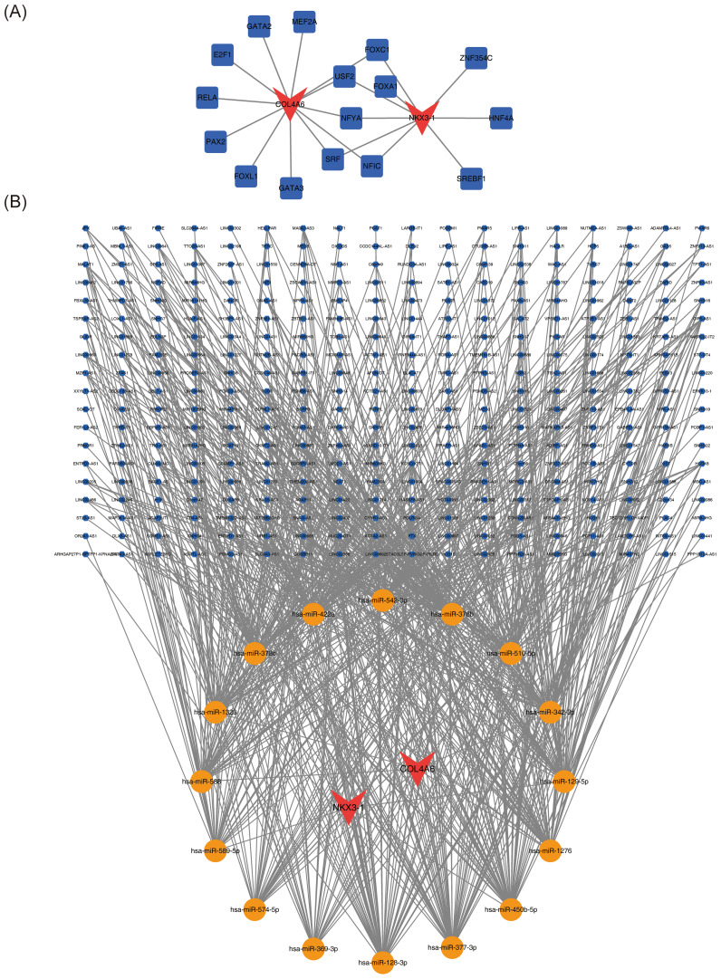 Figure 7