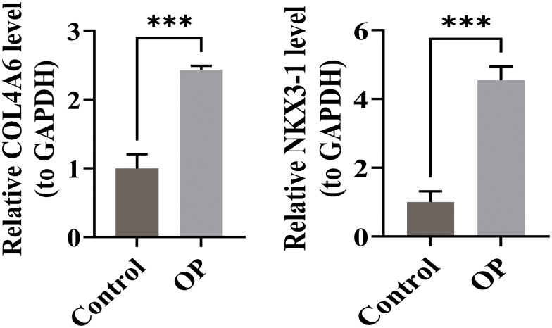 Figure 9