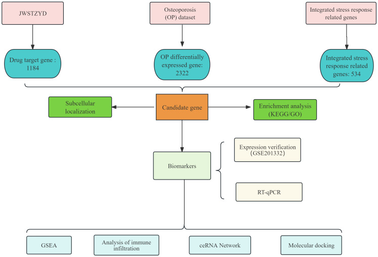 Figure 10