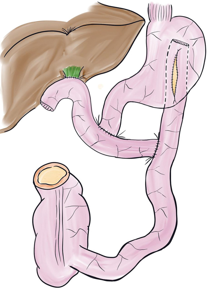 Fig. 5