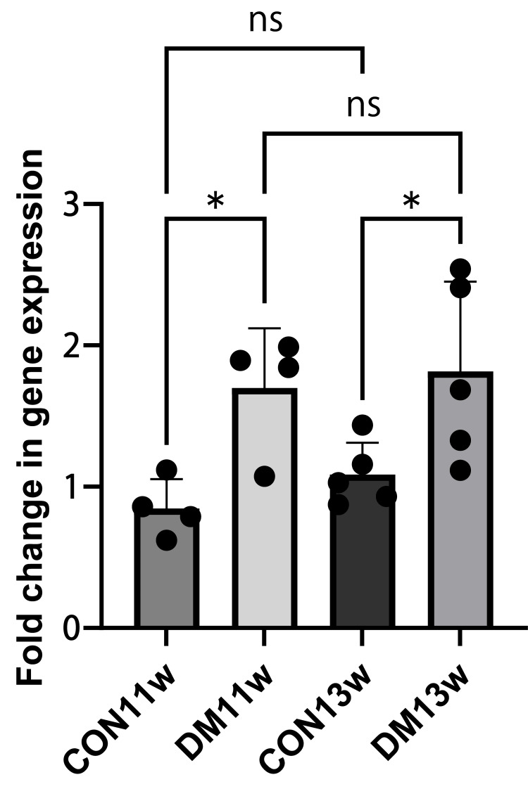 Figure 6