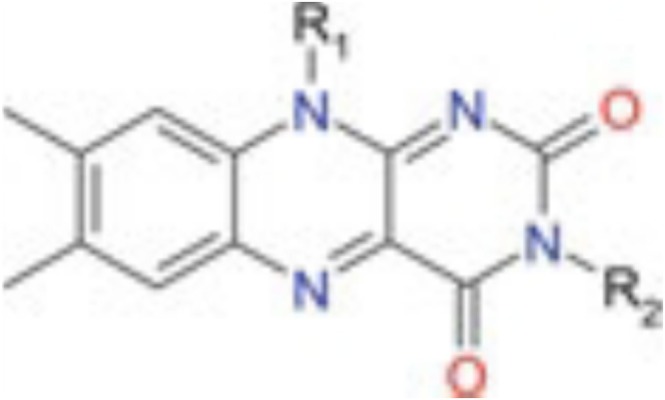 FIGURE 9