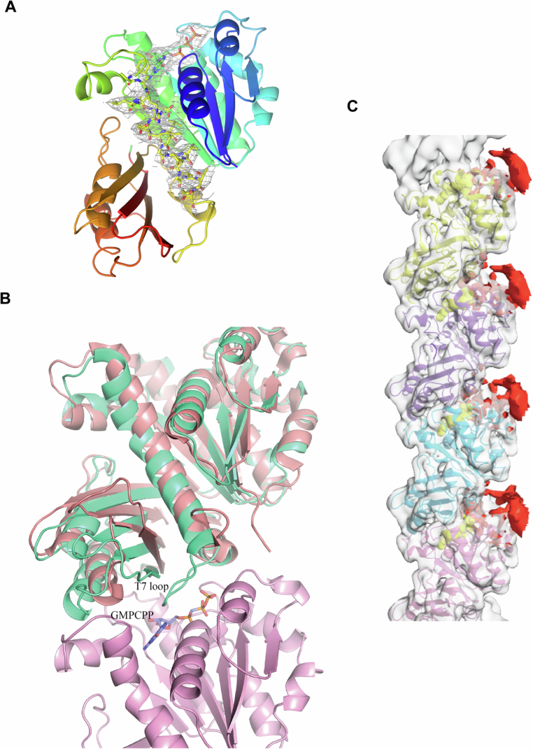 Figure 7