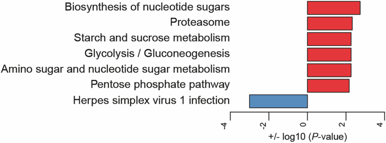 Figure 10