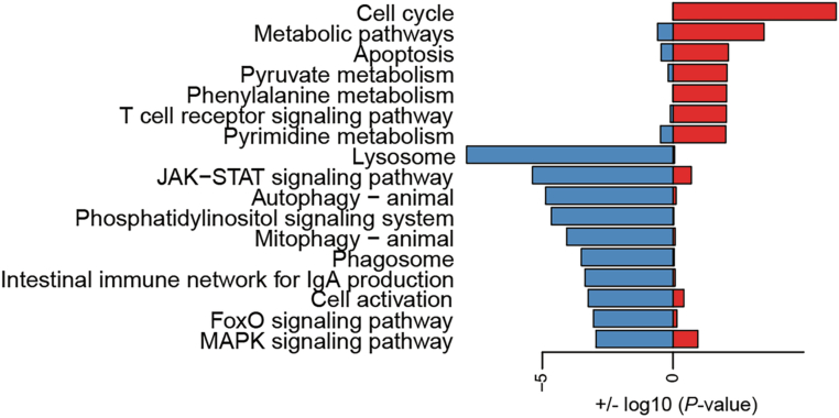 Figure 11