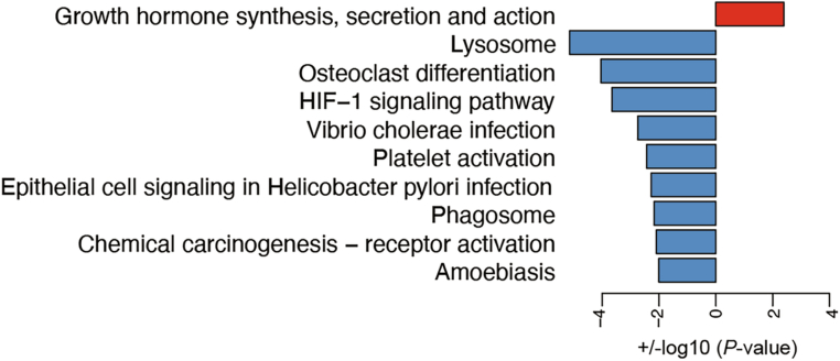 Figure 13