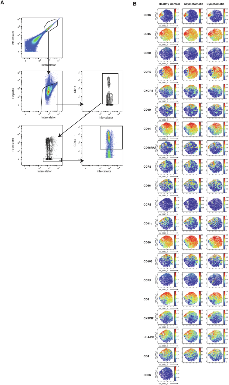 Figure 17