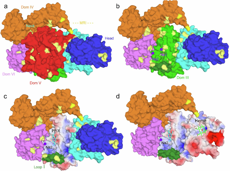 Figure 12
