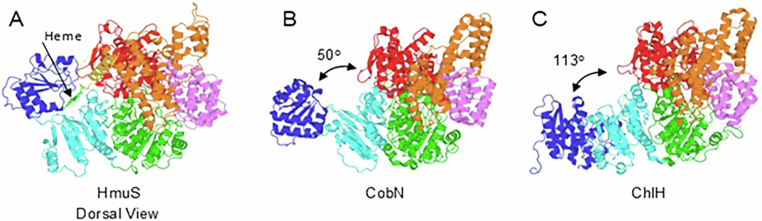 Figure 9