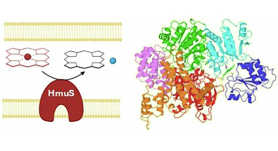 Figure 14
