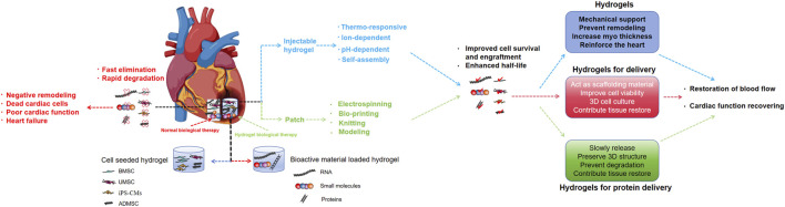 FIGURE 6