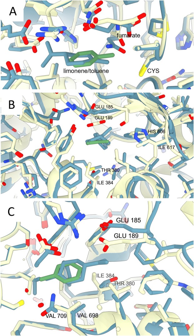 FIGURE 6