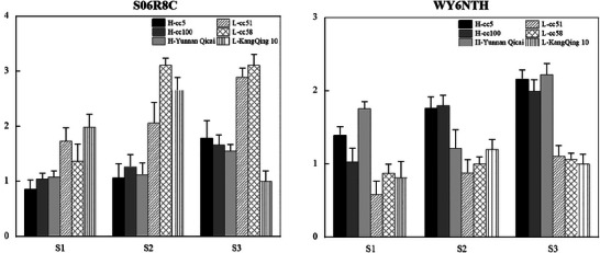 FIGURE 11