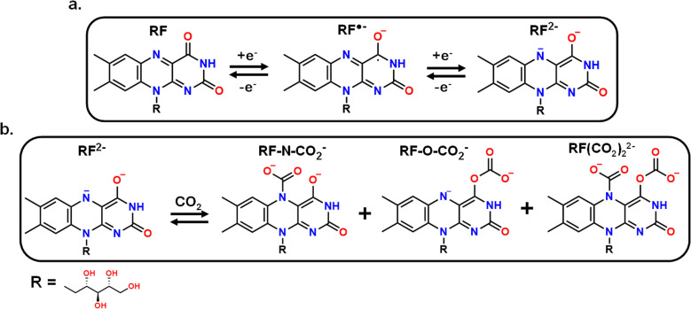 Scheme 2