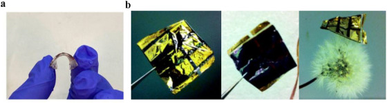 Figure 18