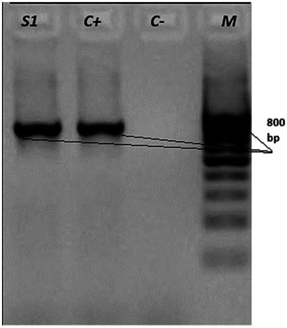 Figure 6