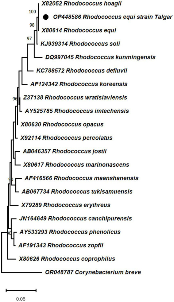 Figure 7