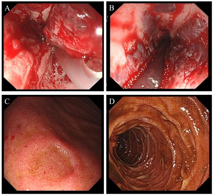 Figure 3