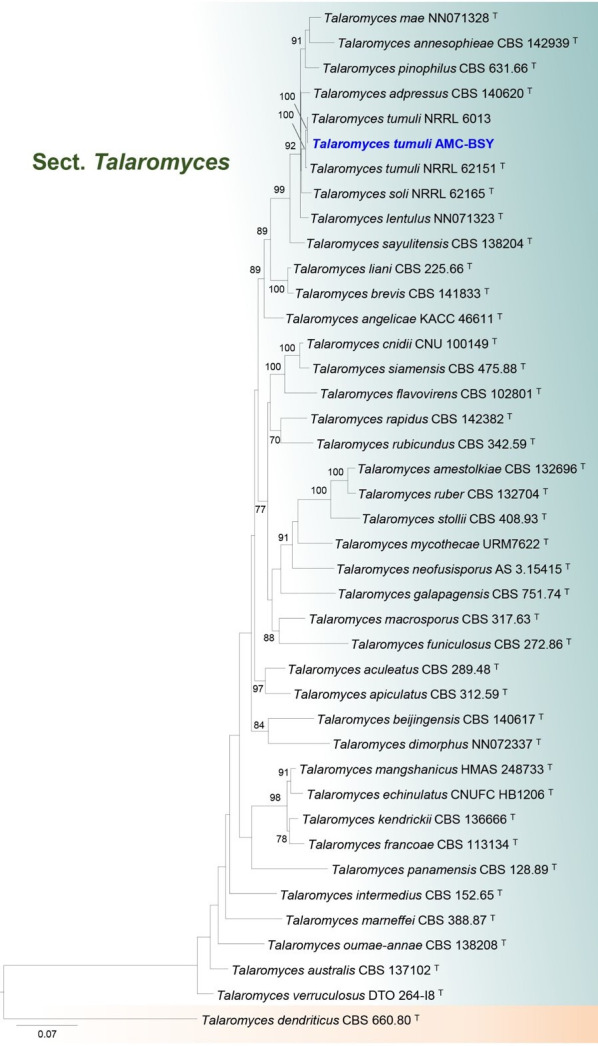 Fig 3