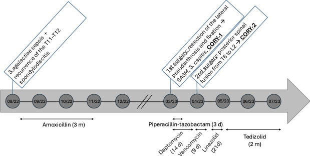 Fig 1